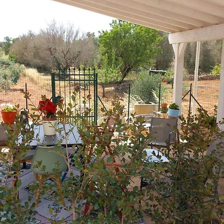 סנטה מריה אל בניו Villa Aurora מראה חיצוני תמונה