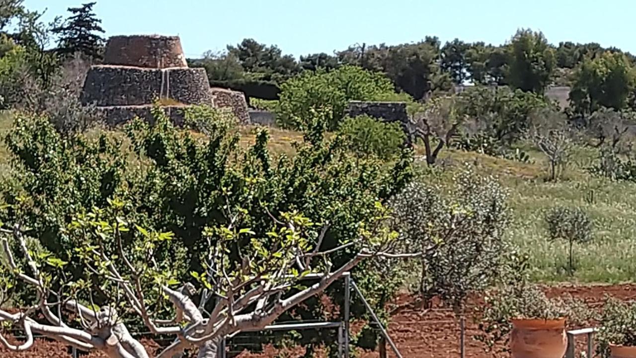 סנטה מריה אל בניו Villa Aurora מראה חיצוני תמונה
